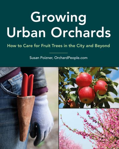 Book cover of Growing Urban Orchards