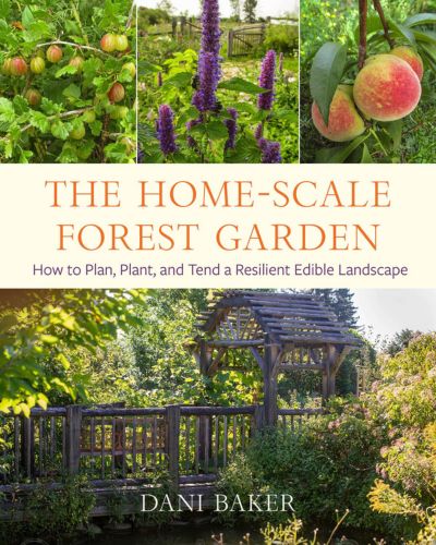 Book cover of Home-Scale Forest Garden