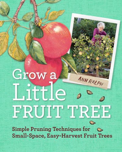 Book cover of Grow a Little Fruit Tree